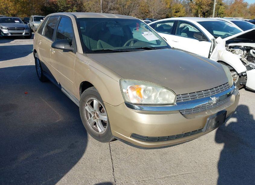 2005 Chevrolet Malibu MAXX LS (VIN 1G1ZT62865F268374) main photo