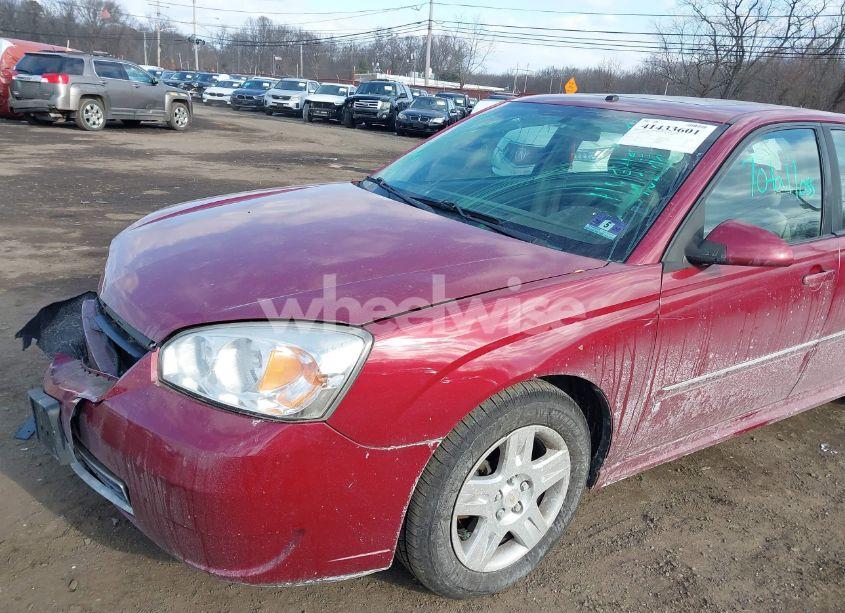 Photo 19 of 2006 Chevrolet Malibu MAXX LT (VIN 1G1ZT63816F111352)