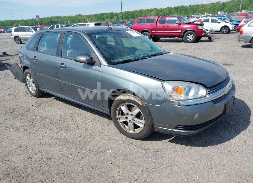 2005 Chevrolet Malibu MAXX LS (VIN 1G1ZT64815F161181) main photo