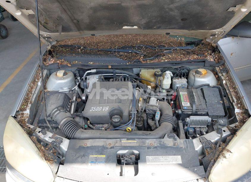 Photo 10 of 2005 Chevrolet Malibu MAXX LS (VIN 1G1ZT64845F206307)