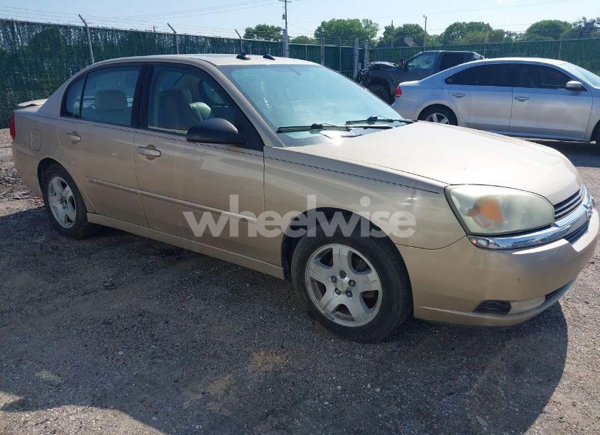 2005 Chevrolet Malibu LT (VIN 1G1ZU54825F161651) main photo