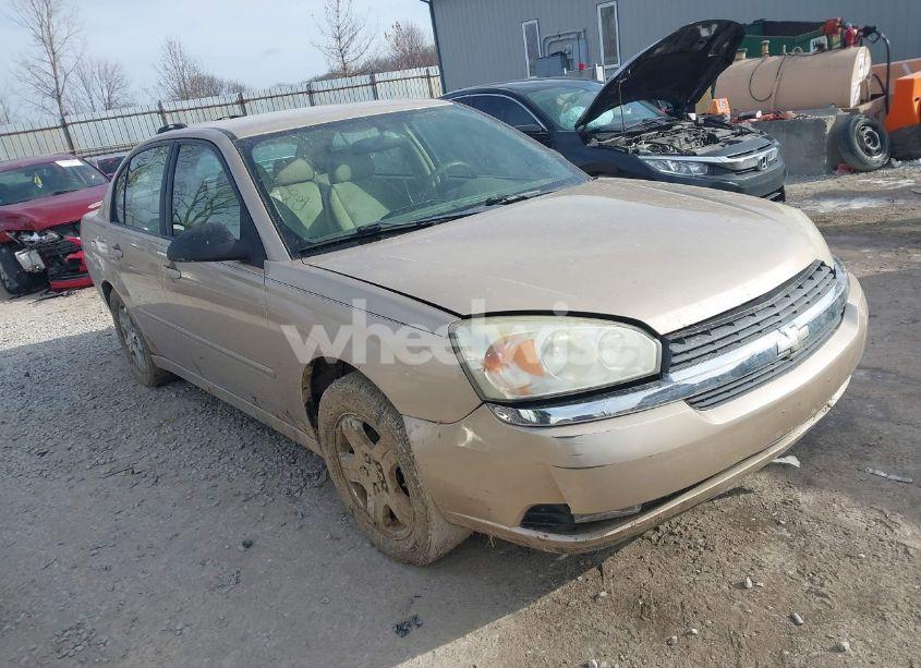 2005 Chevrolet Malibu LT (VIN 1G1ZU54845F196319) main photo