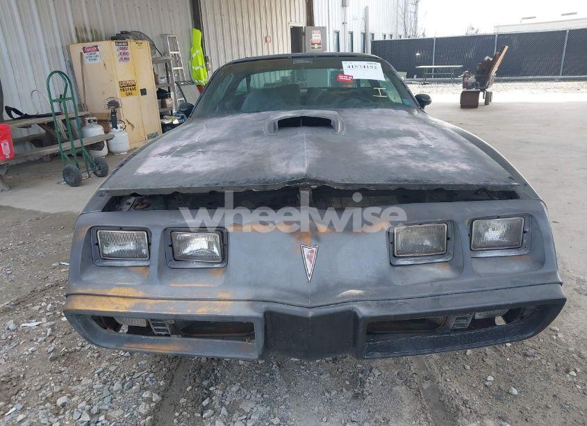 Photo 13 of 1981 Pontiac Firebird N/A (VIN 1G2AS87A7BN106659)