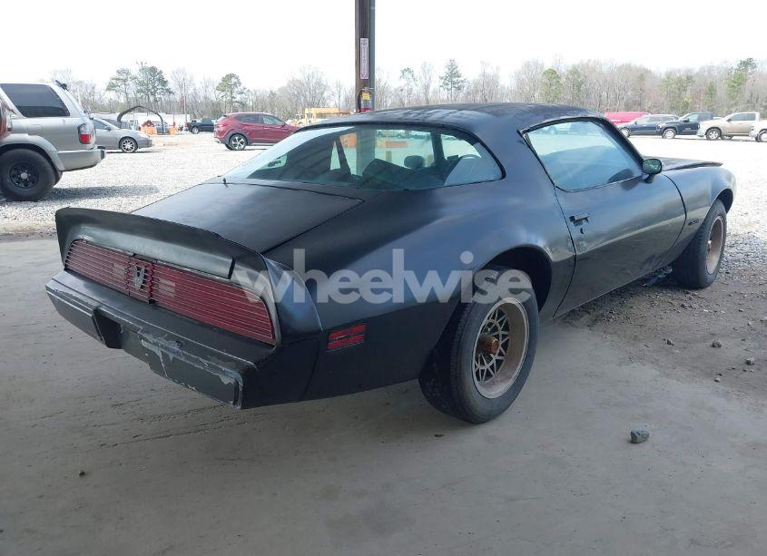 Photo 4 of 1981 Pontiac Firebird N/A (VIN 1G2AS87A7BN106659)