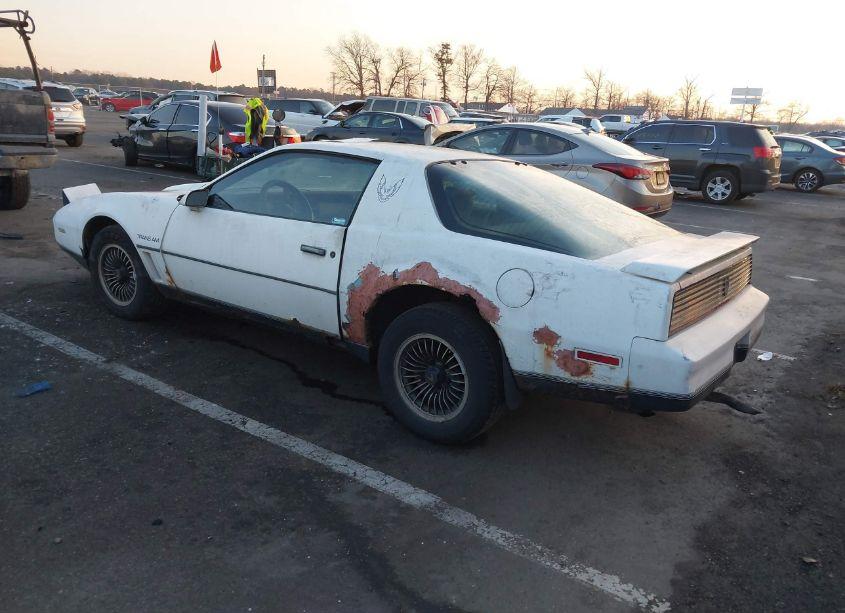 Photo 3 of 1984 Pontiac Firebird TRANS AM (VIN 1G2AW87H4EN205896)