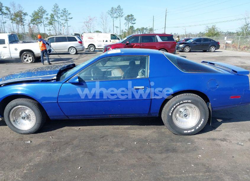 Photo 14 of 1984 Pontiac Firebird SE (VIN 1G2AX87HXEL235140)