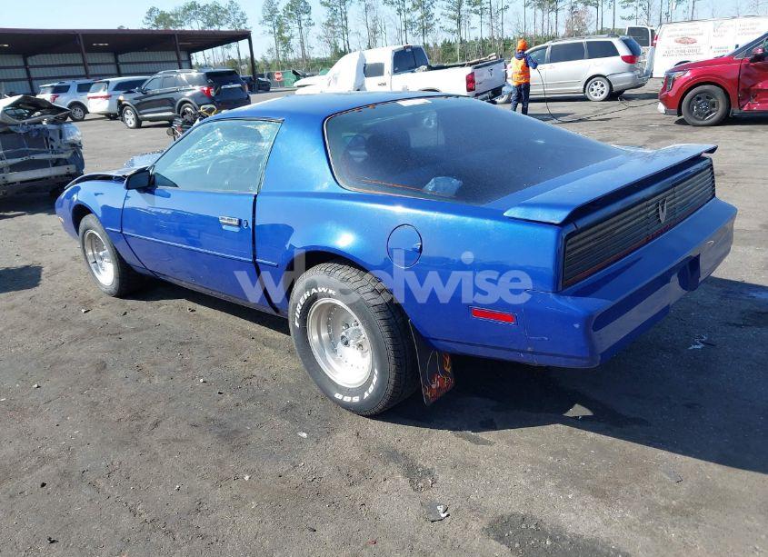 Photo 3 of 1984 Pontiac Firebird SE (VIN 1G2AX87HXEL235140)