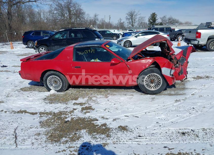 Photo 14 of 1987 Pontiac Firebird N/A (VIN 1G2FS21S6HN230967)