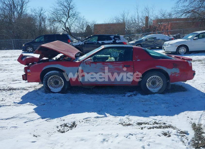 Photo 15 of 1987 Pontiac Firebird N/A (VIN 1G2FS21S6HN230967)