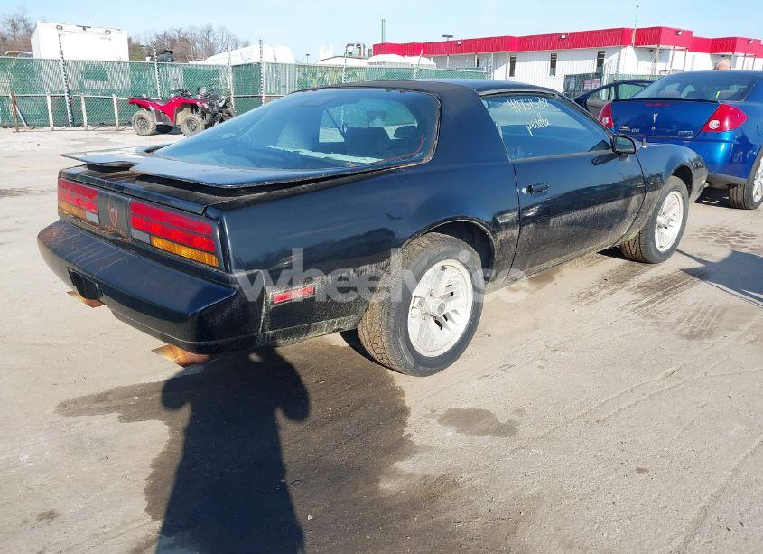 Photo 4 of 1991 Pontiac Firebird FORMULA (VIN 1G2FS23E9ML207678)