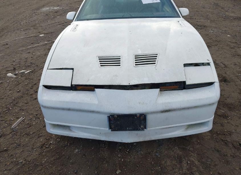 Photo 6 of 1988 Pontiac Firebird TRANS AM/GTA (VIN 1G2FW2187JL215470)