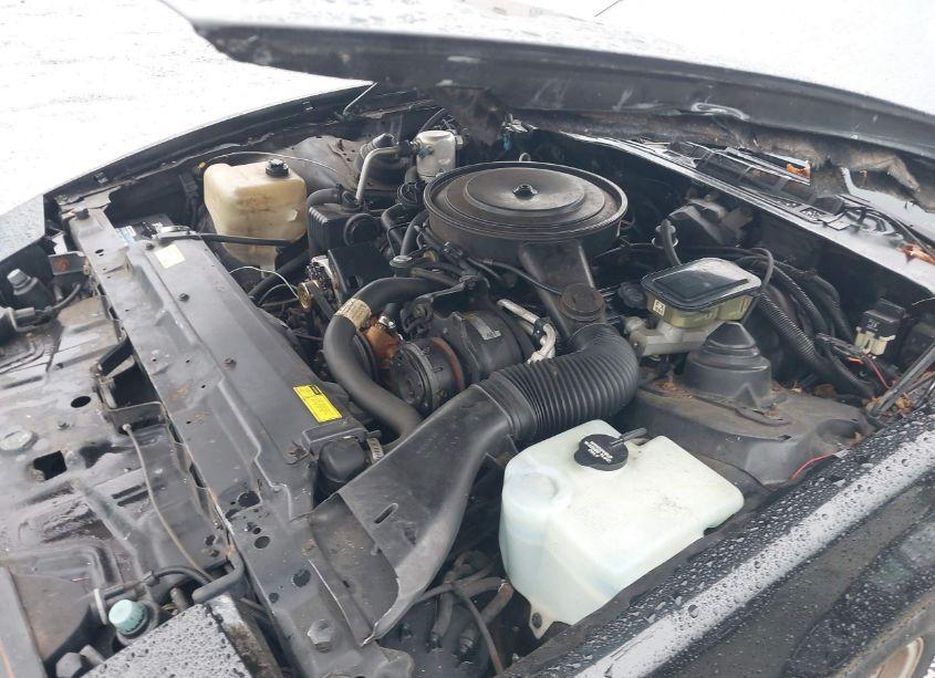 Photo 10 of 1987 Pontiac Firebird TRANS AM (VIN 1G2FW21HXHN243696)