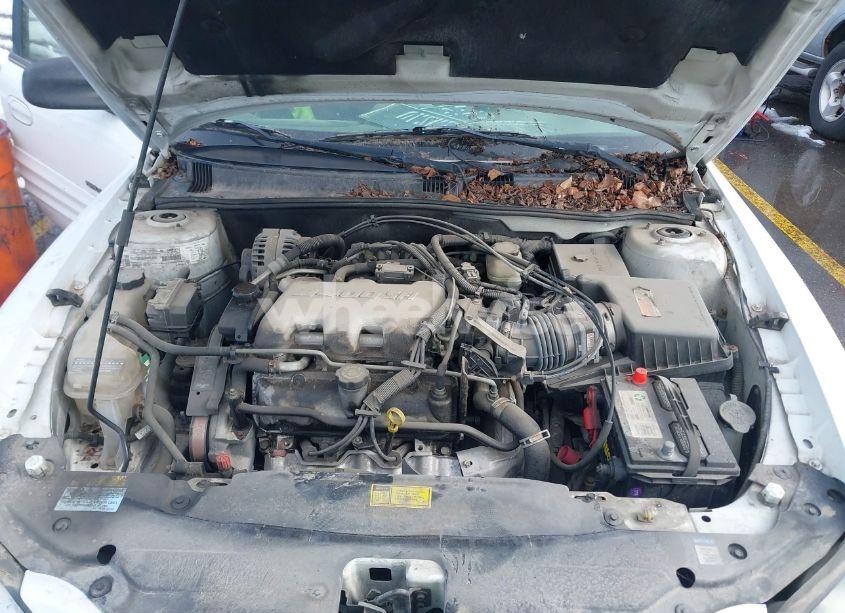 Photo 10 of 1999 Pontiac Grand AM SE1 (VIN 1G2NE52E3XM837376)