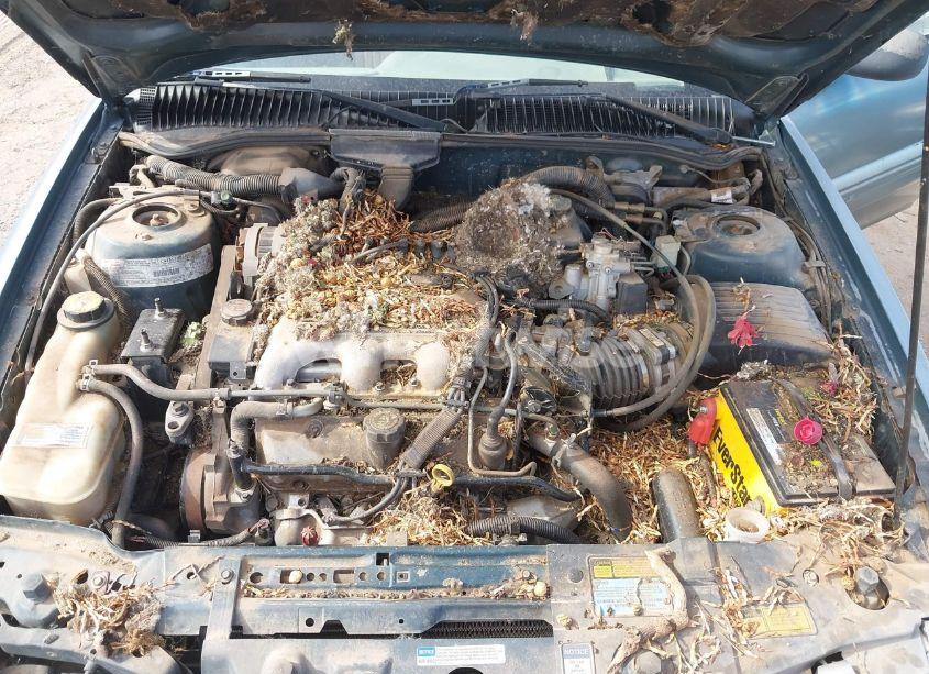 Photo 10 of 1996 Pontiac Grand AM SE (VIN 1G2NE52M8TC810732)