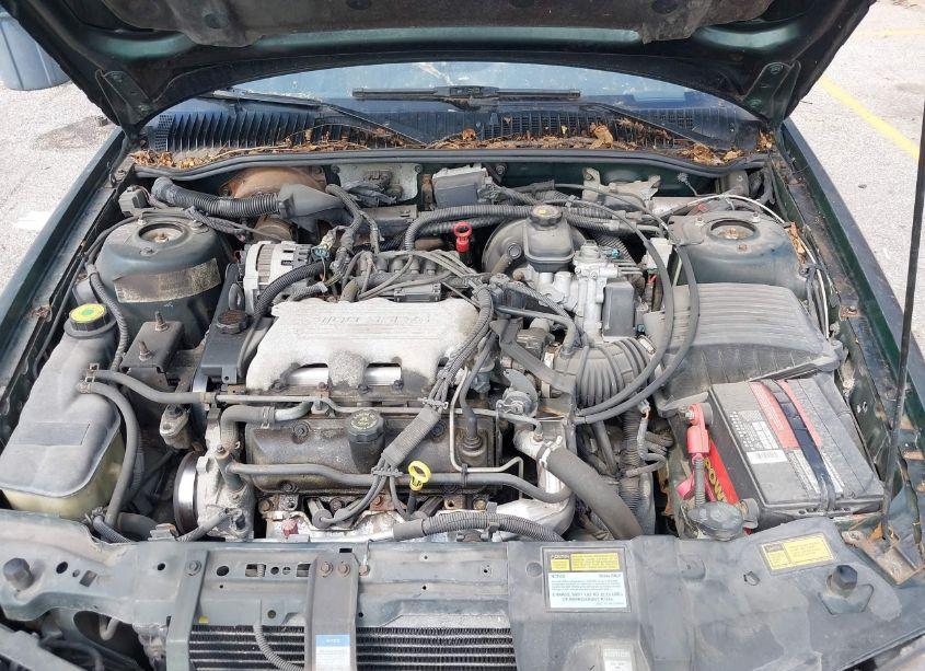 Photo 10 of 1995 Pontiac Grand AM SE (VIN 1G2NE55MXSC726213)
