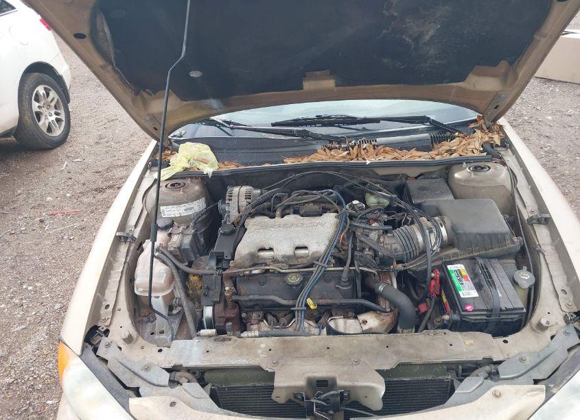 Photo 10 of 2002 Pontiac Grand AM SE1 (VIN 1G2NF52E02M631082)