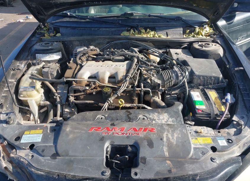 Photo 10 of 2000 Pontiac Grand AM GT1 (VIN 1G2NV12EXYM851561)