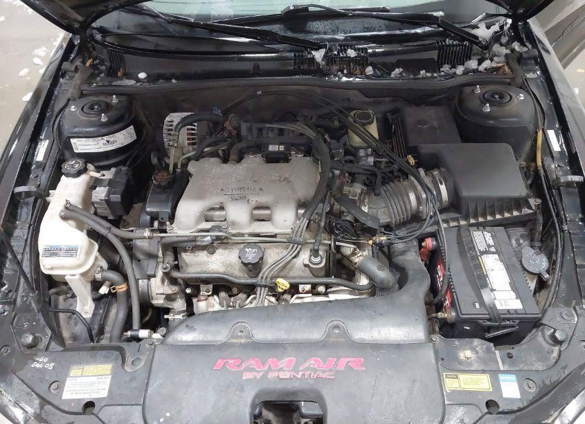 Photo 10 of 1999 Pontiac Grand AM GT1 (VIN 1G2NW52E1XM929471)