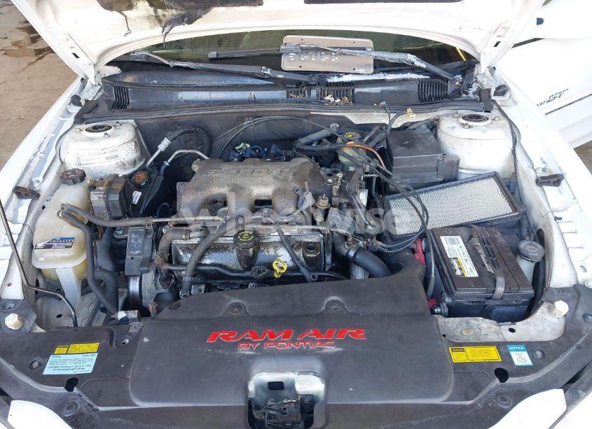 Photo 10 of 1999 Pontiac Grand AM GT (VIN 1G2NW52E2XM800431)