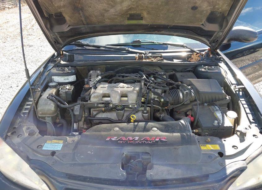 Photo 10 of 2000 Pontiac Grand AM GT (VIN 1G2NW52E9YM770605)