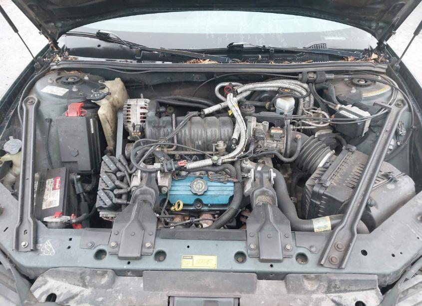 Photo 10 of 1999 Pontiac Grand PRIX GT (VIN 1G2WP12K0XF247041)