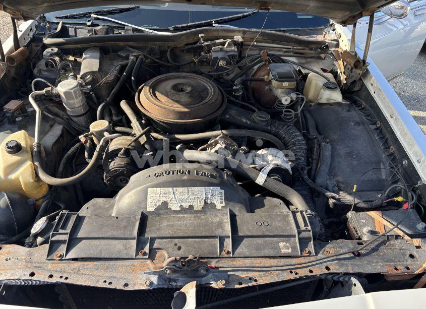 Photo 10 of 1984 Oldsmobile Delta 88 ROYALE BROUGHAM (VIN 1G3AY69Y8EM716945)