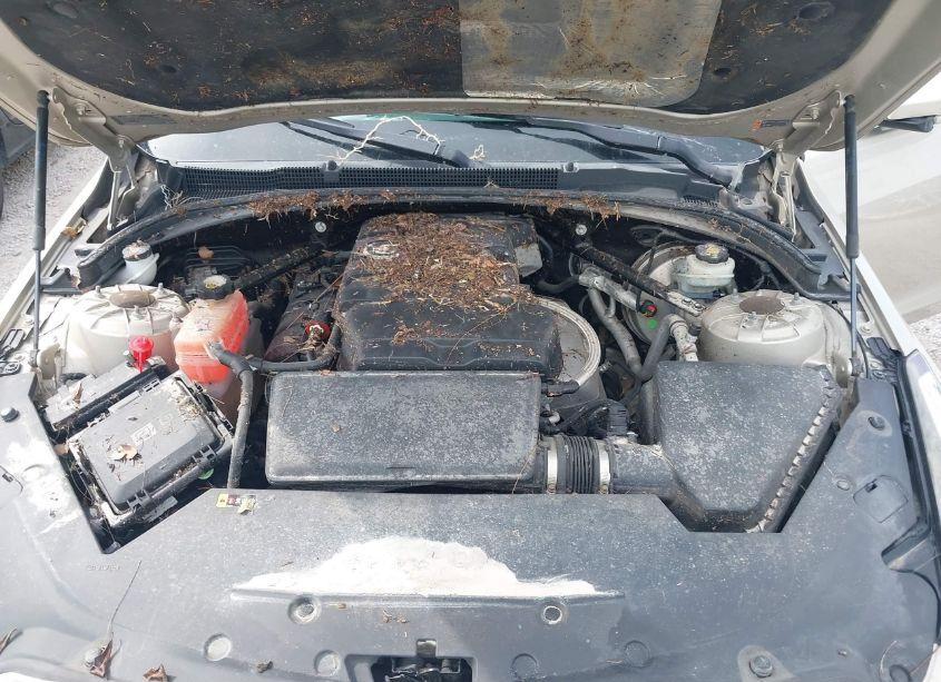 Photo 10 of 2014 Cadillac Ats LUXURY (VIN 1G6AB5RA5E0112102)