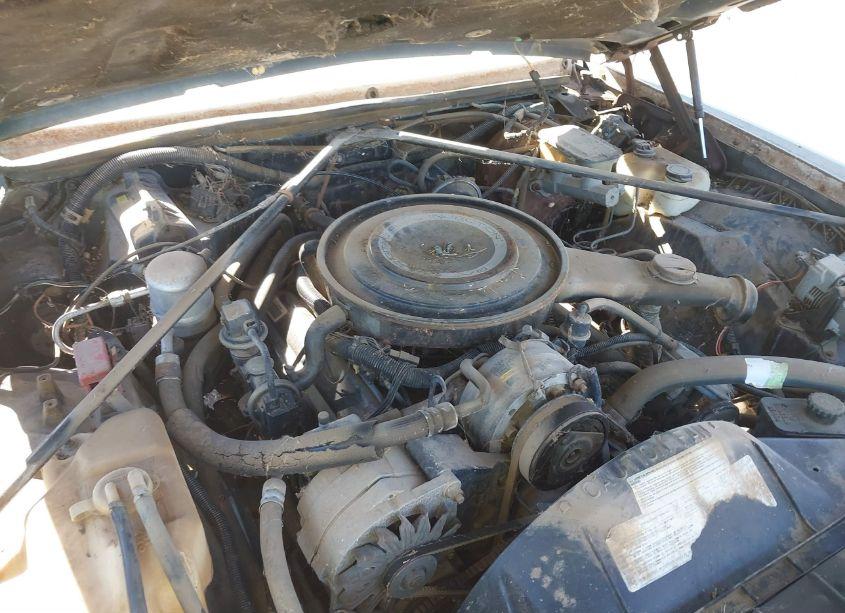 Photo 10 of 1984 Cadillac Eldorado (VIN 1G6AL5787EE647254)