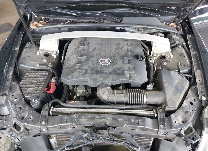 Photo 10 of 2011 Cadillac Cts STANDARD (VIN 1G6DA5EY5B0157071)