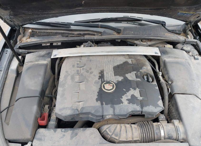 Photo 10 of 2009 Cadillac Cts STANDARD (VIN 1G6DF577490159166)