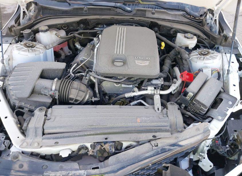 Photo 10 of 2024 Cadillac Ct4 PREMIUM LUXURY (VIN 1G6DF5RK2R0107987)