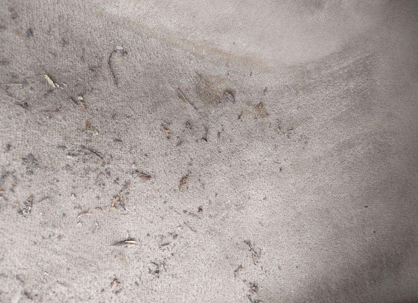 Photo 8 of 2014 Cadillac Cts PERFORMANCE (VIN 1G6DG1E32E0115490)