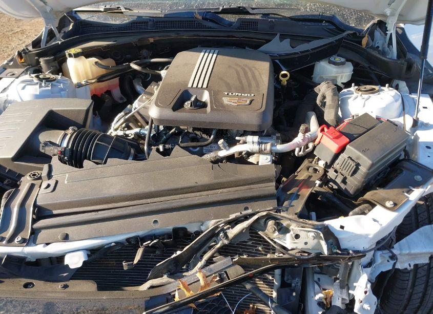 Photo 10 of 2020 Cadillac Ct4 SPORT (VIN 1G6DG5RK5L0155097)