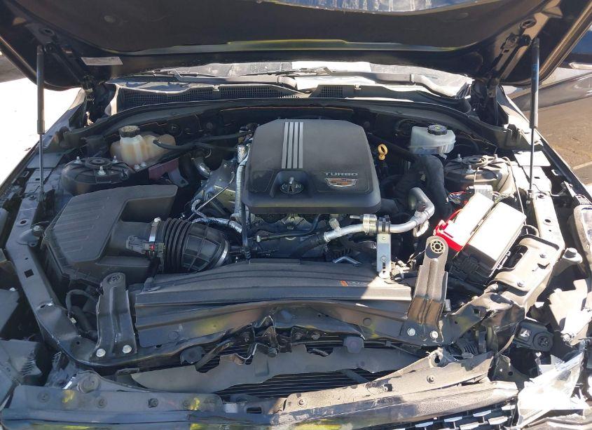 Photo 10 of 2020 Cadillac Ct4 LUXURY (VIN 1G6DJ5RK9L0147988)