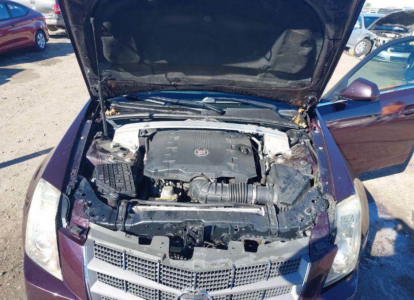 Photo 10 of 2010 Cadillac Cts STANDARD (VIN 1G6DL5EV7A0117881)