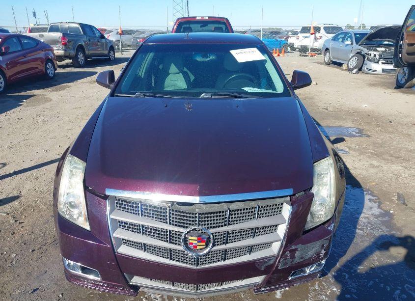 Photo 12 of 2010 Cadillac Cts STANDARD (VIN 1G6DL5EV7A0117881)