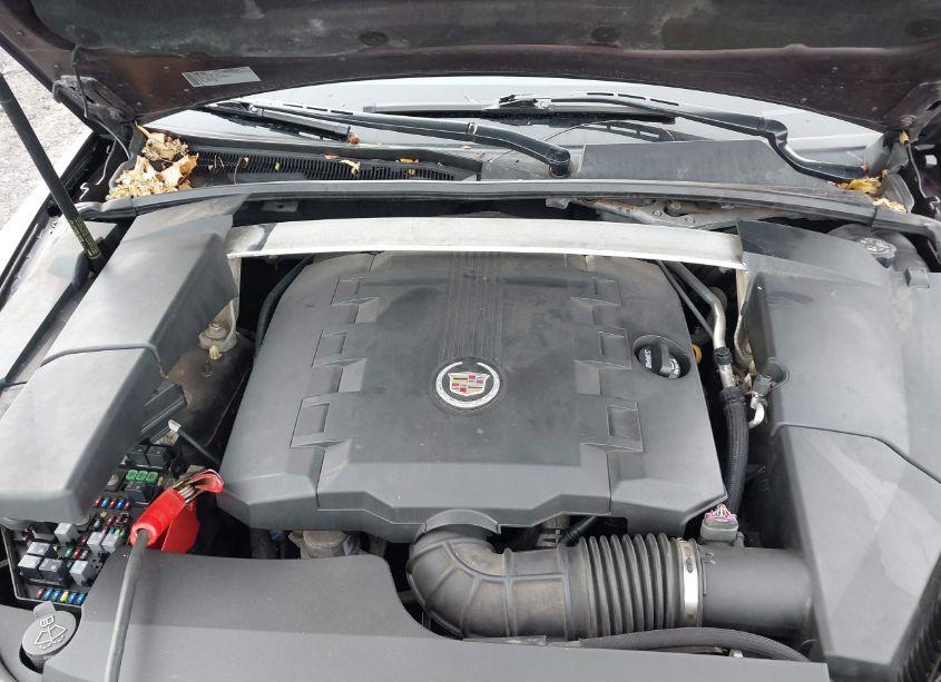 Photo 10 of 2010 Cadillac Cts PERFORMANCE (VIN 1G6DM5EG3A0101689)