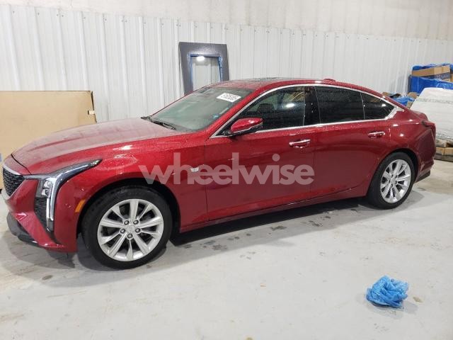 Photo 11 of 2025 CADILLAC CT5 PREMIUM LUXURY (VIN 1G6DN5RK6S0109167)
