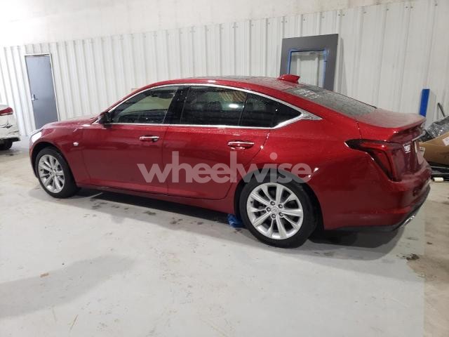 Photo 13 of 2025 CADILLAC CT5 PREMIUM LUXURY (VIN 1G6DN5RK6S0109167)