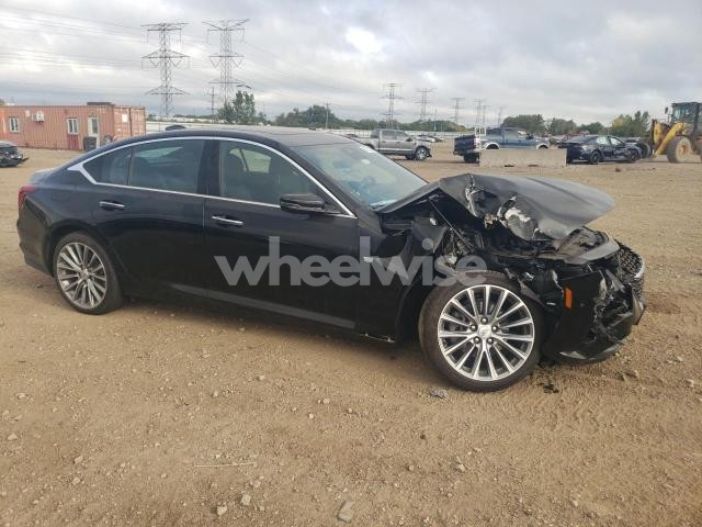 Photo 13 of 2025 CADILLAC CT5 PREMIUM LUXURY (VIN 1G6DS5RW8S0102006)