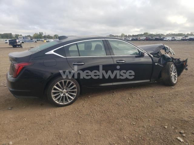 Photo 9 of 2025 CADILLAC CT5 PREMIUM LUXURY (VIN 1G6DS5RW8S0102006)