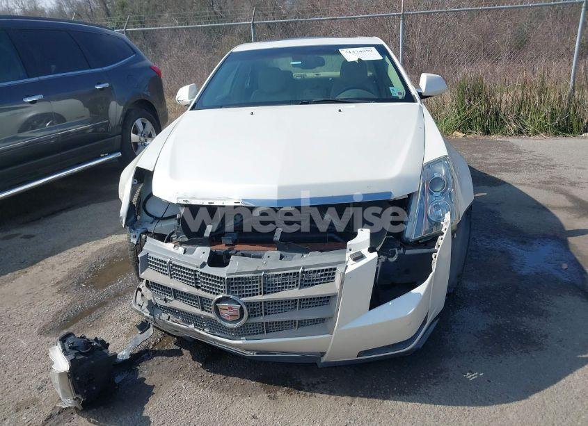 Photo 12 of 2008 Cadillac Cts STANDARD (VIN 1G6DV57V680175112)