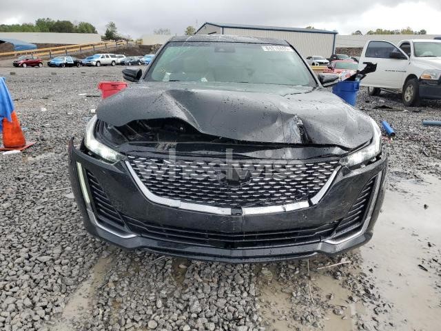 2023 CADILLAC CT5 LUXURY (VIN 1G6DW5RK0P0106303) main photo