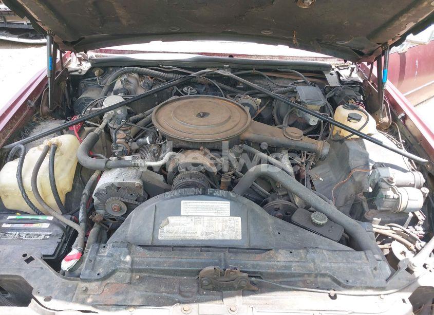 Photo 10 of 1985 Cadillac Eldorado (VIN 1G6EL578XFE613960)