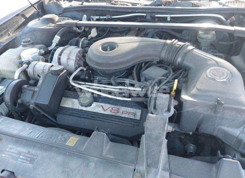 Photo 10 of 1995 Cadillac Deville N/A (VIN 1G6KD52B4SU237730)