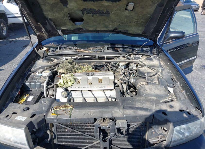 Photo 10 of 1999 Cadillac Deville STANDARD (VIN 1G6KD54Y1XU740107)