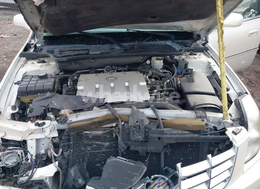 Photo 10 of 2009 Cadillac Dts 1SC (VIN 1G6KD57Y39U122883)