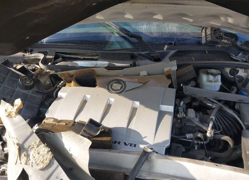 Photo 10 of 2006 Cadillac Dts (VIN 1G6KD57Y76U168454)