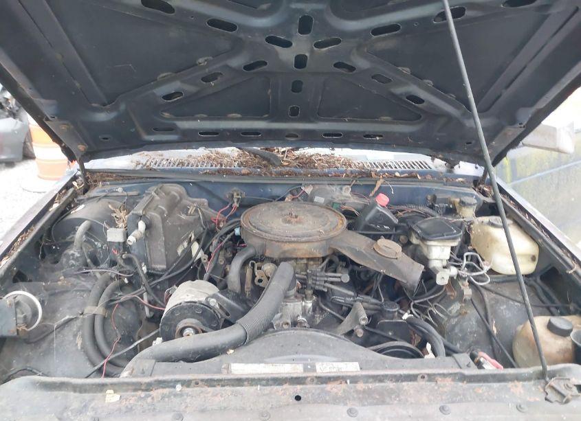 Photo 10 of 1985 Chevrolet Blazer S10 (VIN 1G8CT18B0F0136471)