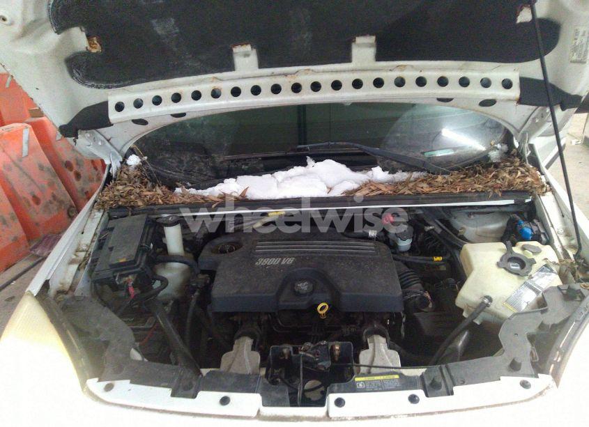 Photo 10 of 2008 Chevrolet Uplander CARGO (VIN 1GBDV13138D211828)